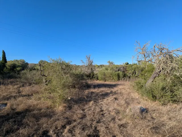 Terreno tranquilo con edificación de piedra cerca de Artà — 3