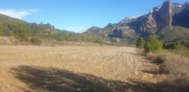 TERRENO OPTIMO PARA CAMPING — 7