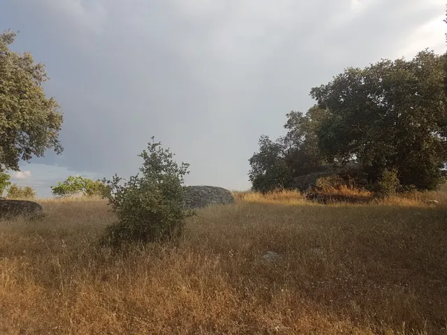 Terreno rural en venta - Alrededores — 10