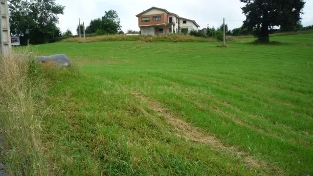 Finca rústica 28973m² en venta - Alto La Encina - foto 4
