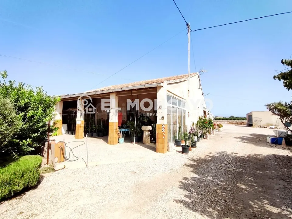 Fantástica casa de campo con parcela en la zona del campo de Elche, Alicante, Costa Blanca