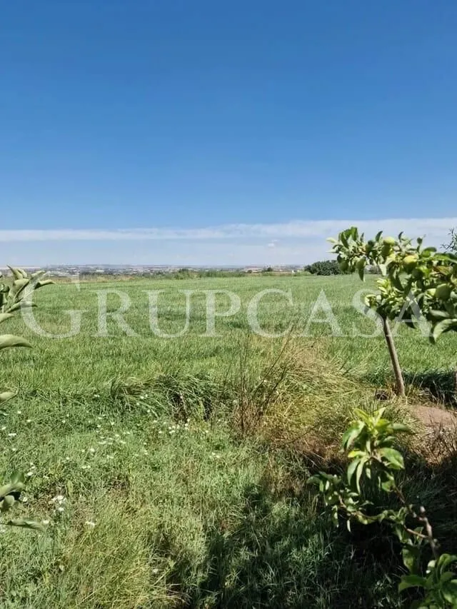 BONITA CASA DE CAMPO CON UNA HECTAREA DE TERRENO EN ALBATARR - foto 4