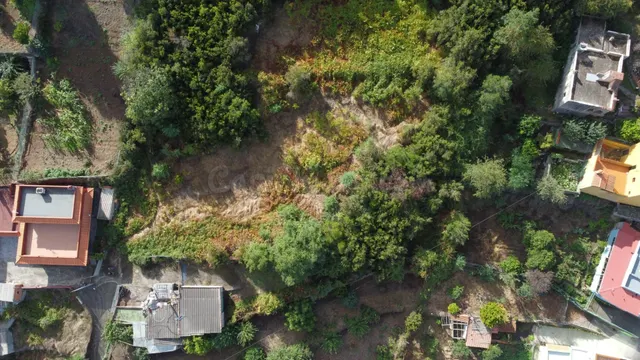 Venta de terreno en Aguamansa - foto 3