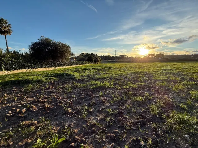Terreno Agrario en Sant Juan — 2