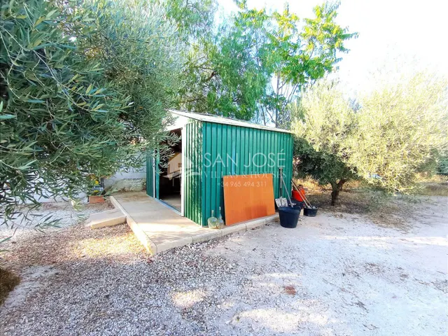 VENTA DE PARCELA ENTRE LA ROMANA Y ASPE — 11