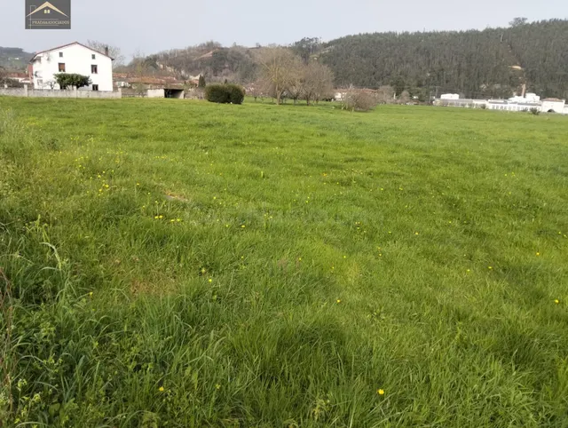 FINCA URBANA 2875M2 EN VERNEJO (CABEZON DE LA SAL) - foto 5