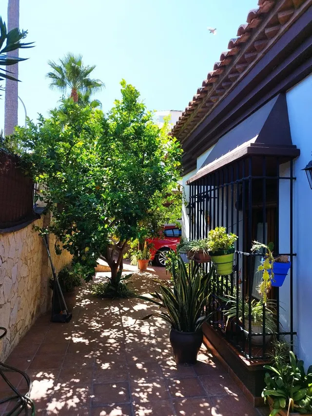 Se vende Chalet con piscina en Getares — 27