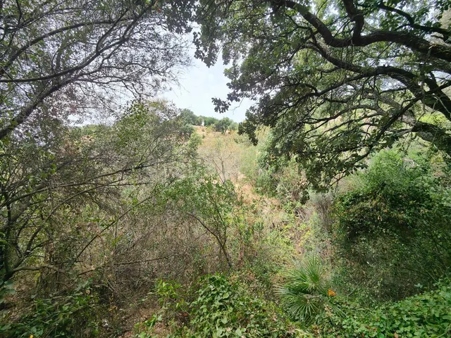 Parcela en venta - Istan pueblo — 3