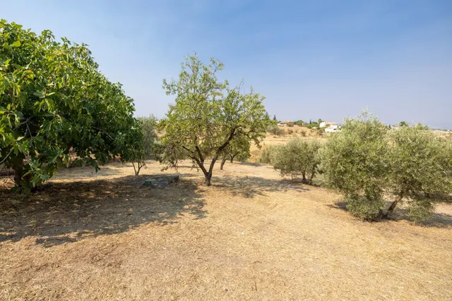 Encanto rústico con casita y olivos en Moraleja de Zafayona — 29