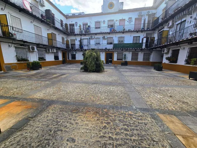 Piso bajo - Gines — 8