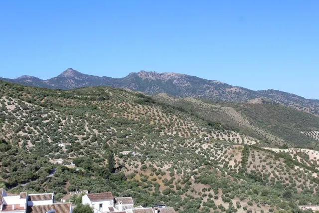 Venta de casa en Zahara de la Sierra — 14