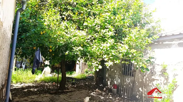 ¡OPORTUNIDAD! SOLAR URBANO CON PATIO Y COCHERA PRIVADA EN LE - foto 3
