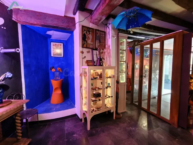 EXCLUSIVO LOCAL EN ZONA CALLE ALFONSO — 2