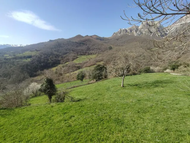 Finca rústica en venta - Picos de europa - foto 4