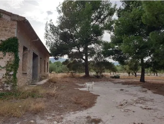 FINCA RUSTICA EN VENTA EN CASTALLA ALICANTE — 8