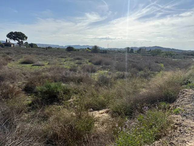 TERRENO RUSTICO EN TERMINO DE NOVELDA-ASPE (ALICANTE)