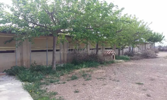 Nave industrial 960m² en venta - PUEBLO - foto 5