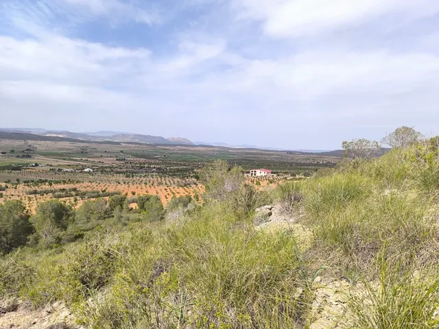 Parcela 999m² en venta - Ayuntamiento — 12