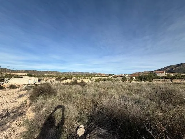 Venta  de terreno en Barinas (Abanilla) — 6
