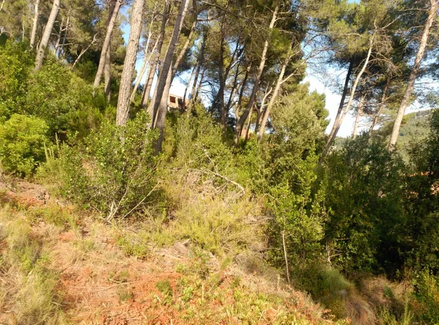Espectacular terreno que da a dos calles, en Corbera de Llobregat, cerca Hotel Can Fisa. — 28