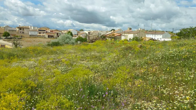Terreno urbano en venta - Fuentelencina — 15