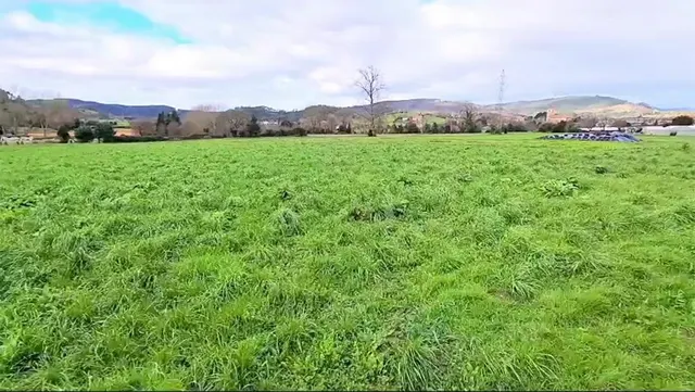 OPORTUNIDAD COMO INVERSIÓN. TERRENO COMPLETAMENTE LLANO. CICERO — 5