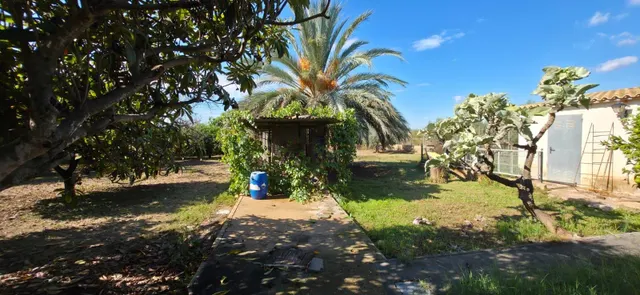 Se vende bonito chalet en partida altabix a 5 minutos de Elche — 8