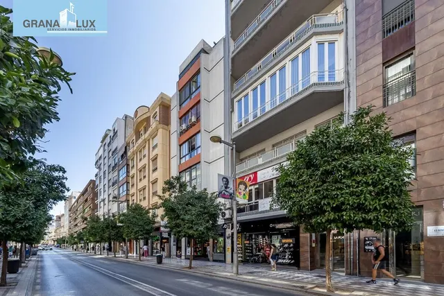 GRAN PISO EN CALLE RECOGIDAS — 39
