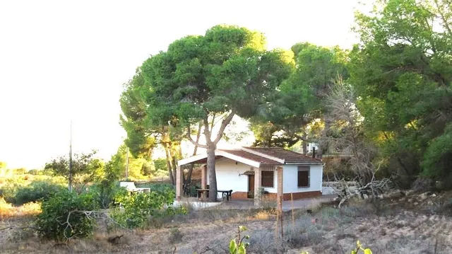 Finca rústica 1 habitación 86m² en venta - Gea Y Truyols - foto 2