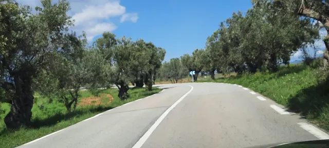 TERRENO URBANO EN SANT JOAN DE SAMORA - foto 4