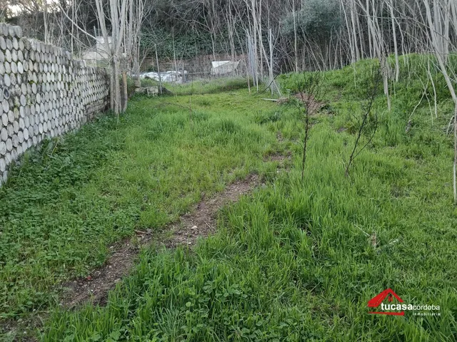 DESCUBRE LA JOYA DE LA PALOMERA - foto 4