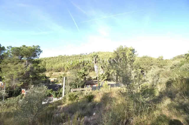 TERRENO CON BUENA ORIENTACIÓN Y VISTAS EN MAS MESTRE — 9