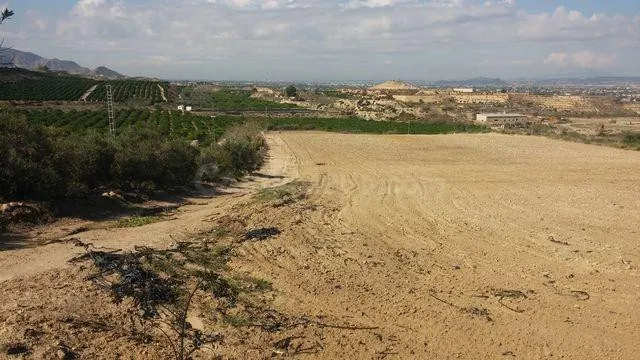 TERRENO RUSTICO EN ORIHUELA  TOTALMENTE VALLADO CON NAVE — 5
