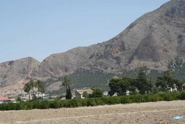 Parcela a las afueras de Orihuela — 13