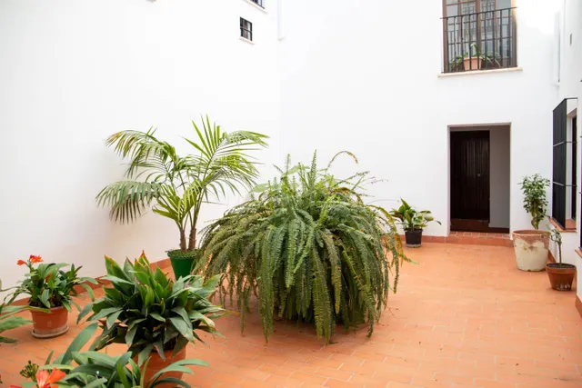 Piso en el casco Histórico Antequera — 35