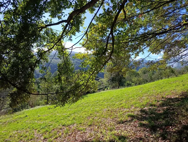 Terreno urbano en venta - Trubia — 33