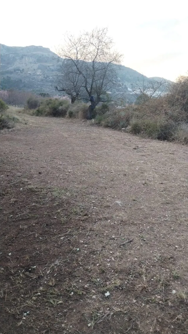 FINCA RÚSTICA EN CONFRIDES (ALICANTE) - foto 4
