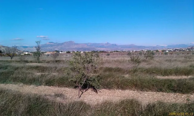 Inmobiliaria San Jose vende parcela en Aspe - foto 3