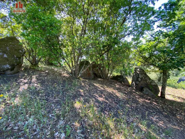 SE VENDE FINCA URBANIZABLE EN LA ZONA DE VELLE — 4