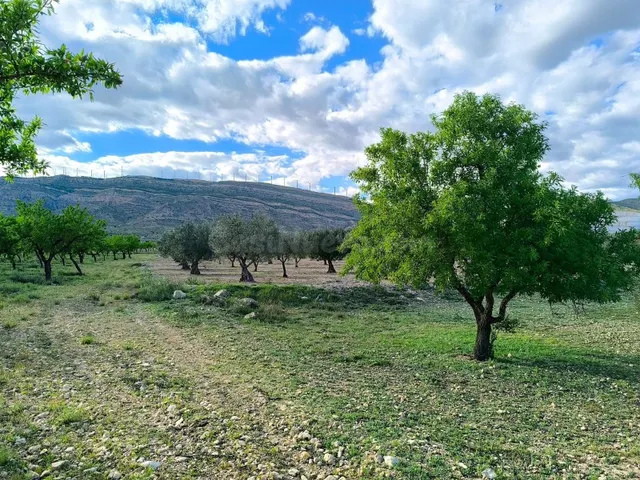 Parcela en venta - Castilla la mancha