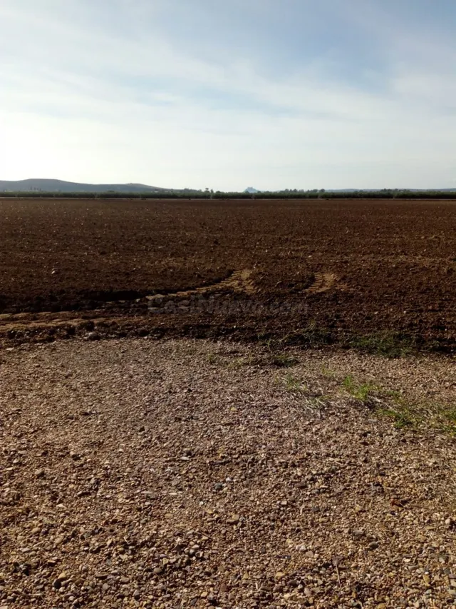 ZONA VILLARRUBIA - Finca rustica de 3 hectáreas con boca de  - foto 5