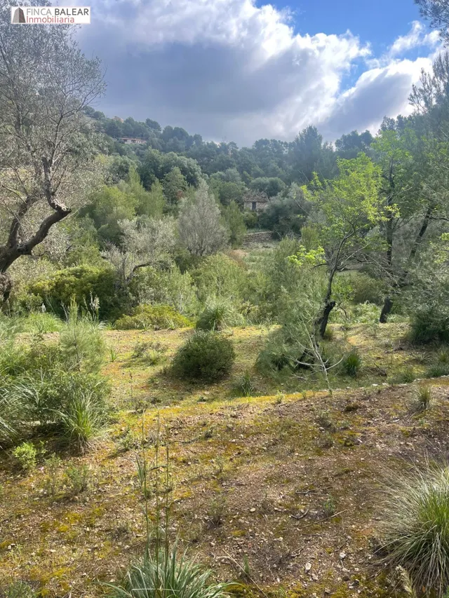 TERRENO RUSTICO EN GALILEA CON CASITA DE APEROS DE 20 M2 POR - foto 2