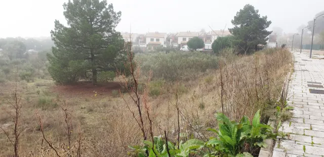 Urbis te ofrece unas parcelas en venta en Boecillo, Valladolid. — 17