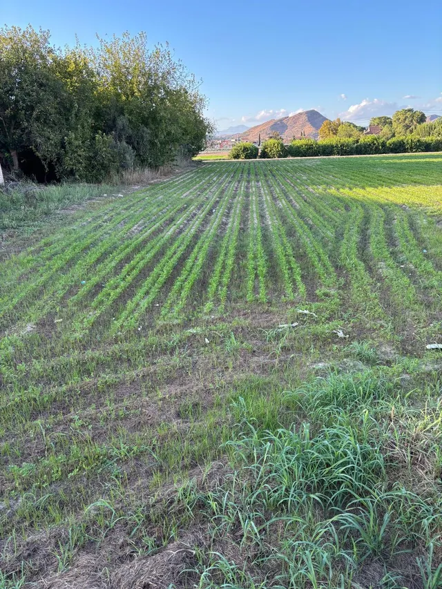 Estupenda parcela urbana en llano de brujas — 6