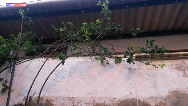 SE VENDE CASA EN VERA DE MONCAYO (ZARAGOZA) - foto 3