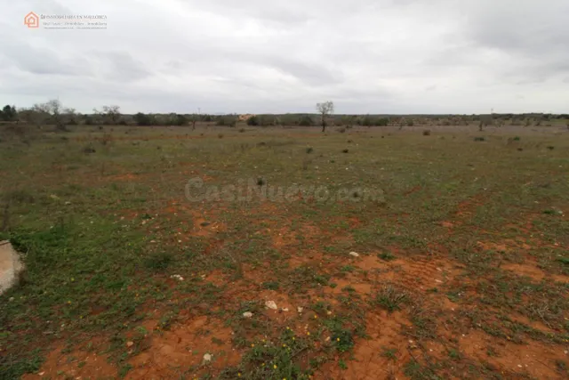 Terrenos Rústicos Edificable en Ses Salines - foto 4
