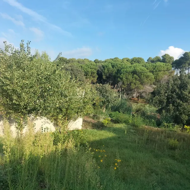 TERRENO A LA VENTA EN SANTA EULÀLIA DE RONÇANA - foto 5
