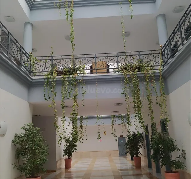 Local comercial 1 habitación 43m² en venta - Pisa - foto 4