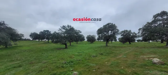 PARCELA RÚSTICA EN PEDROCHE — 7