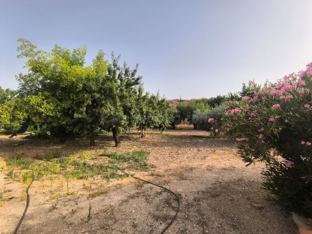 Piso 3 habitaciones 120m² en venta - Comunidad valenciana - foto 5